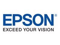 EPSON Singlepack Light Black T54X700 UltraChrome HDX/HD