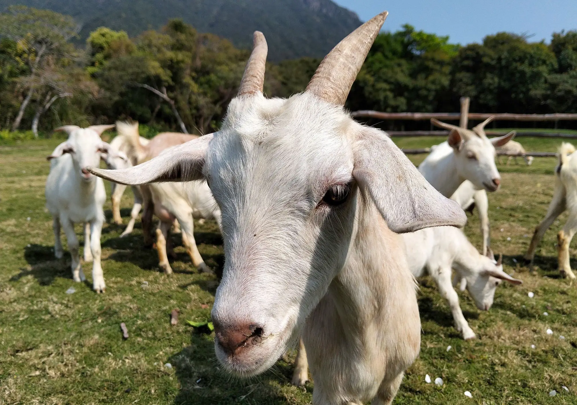 images-camera-photo-1-high-1-jpg