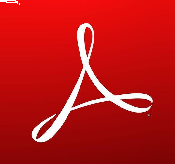 Acrobat Standard for teams 1 user 1 year