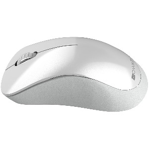 Canyon  2.4 GHz  Wireless mouse ,with 3 buttons,