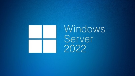 Dell Microsoft Windows Server 2022 Datacenter 16 cores unlim.VMs