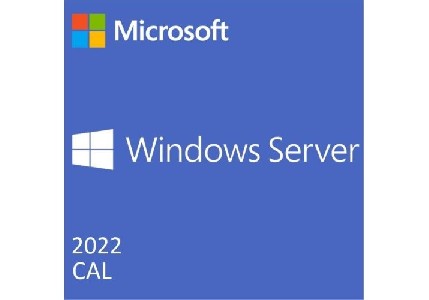 Dell Software, Microsoft Windows Server 2022 5CALs Device