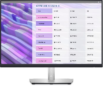 Dell Monitor LED Professional P2423