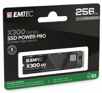 EMTEC X300 256G M2 PCIE3
