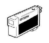 Epson 110ml Photo Black