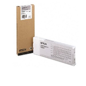 Epson 220ml Light Black