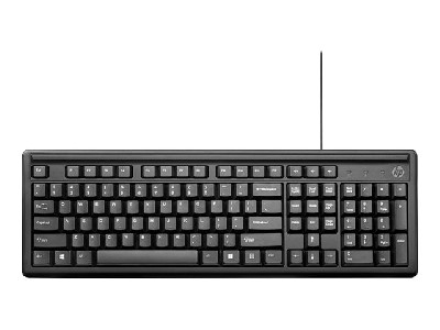 HP 100 BLK Wired Keyboard