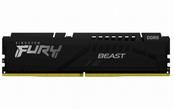 Kingston 32G DDR5 6000 KING EXPO