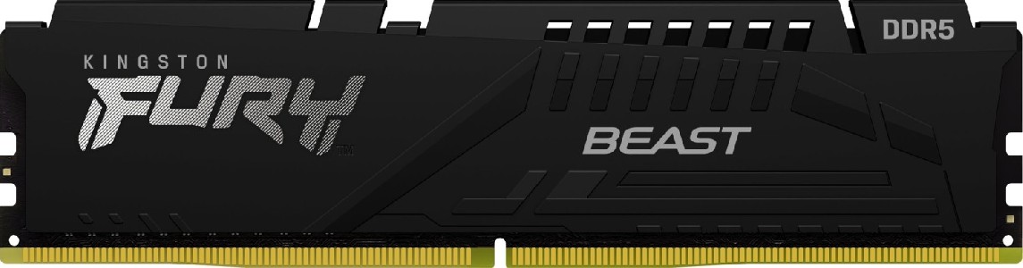 Kingston 16G DDR5 6000 KING EXPO BEAST