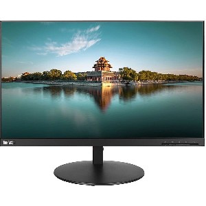 Lenovo ThinkVision P24q-20 23.8"