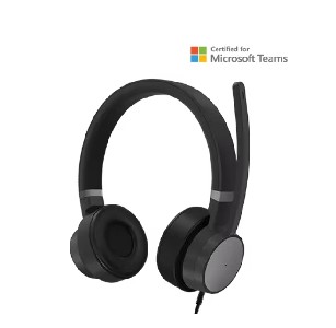 Lenovo Go Wired ANC Headset (Thunder Black)