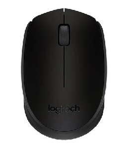 Logitech Wireless Mouse M171 Black