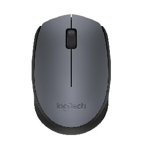 Logitech Wireless Mouse M170 Grey