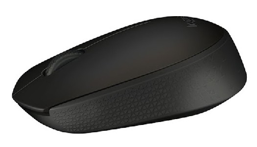 Logitech B170