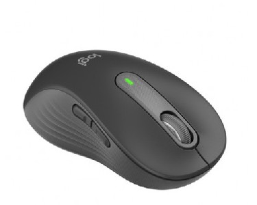 Logitech Signature M650 L Wireless Mouse - GRAPHITE - EMEA