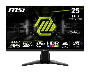 MSI MAG 255XF 24.5"