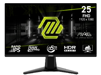 MSI MAG 255F E20 24.5"