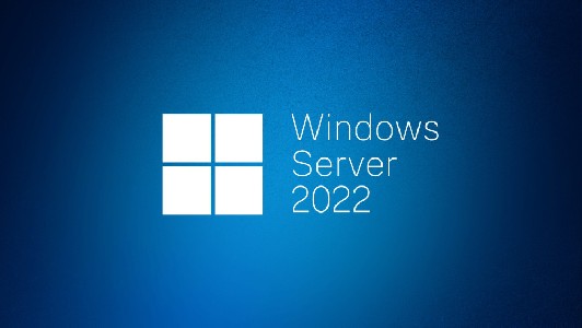 Windows Server CAL 2022 English 1pk DSP OEI 1 Clt Device CAL