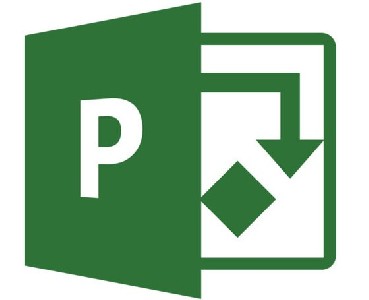 Microsoft Project Pro 2021 Win English Medialess