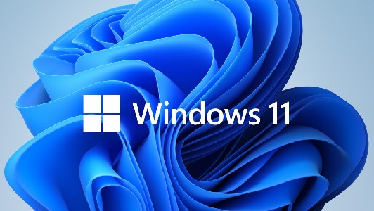 Microsoft Windows 11 Pro for Wrkstns 64Bit English 1pk DSP OEI DVD