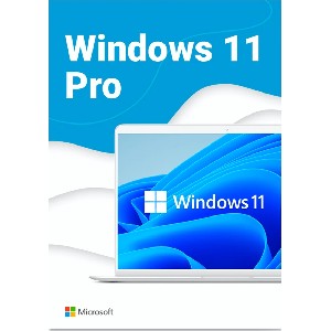 Microsoft Windows Pro 11 64-bit Eng Intl USB RS