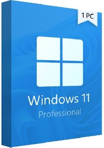 Microsoft Win Pro 11 64-bit All Lng PK Lic Online DwnLd NR