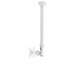 NewStar Flat Screen Ceiling Mount (Height: 79-129 cm)