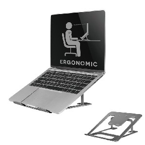 NewStar Notebook Desk Stand (ergonomic)