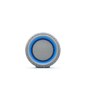 Sony SRS-XG300 Portable Wireless Speaker, Grey